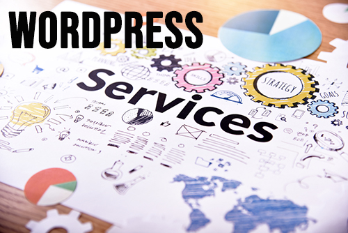 wordpress management and website support